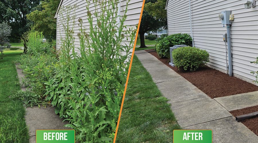 Kurb Appeal Landscaping Before and After Photos2 Kurb Appeal Landscaping Before and After Photos2